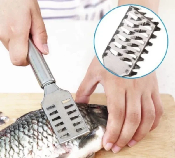 Stainless Steel Fish Scaler Brush – Scale Scraper & Skin Remover Seafood Tool