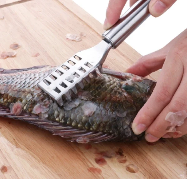Stainless Steel Fish Scaler Brush – Scale Scraper & Skin Remover Seafood Tool - Image 4