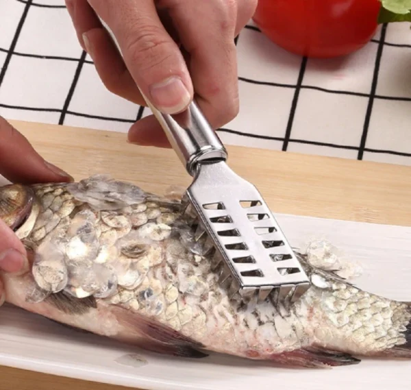 Stainless Steel Fish Scaler Brush – Scale Scraper & Skin Remover Seafood Tool - Image 2